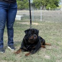IMG_3267