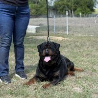 IMG_3272