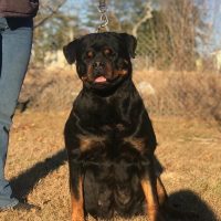 IMG_6560-pkvipauhm9r0eyixg5uxk4i48ef8q7xssjlma3vu40